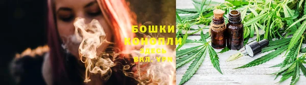 стаф Няндома