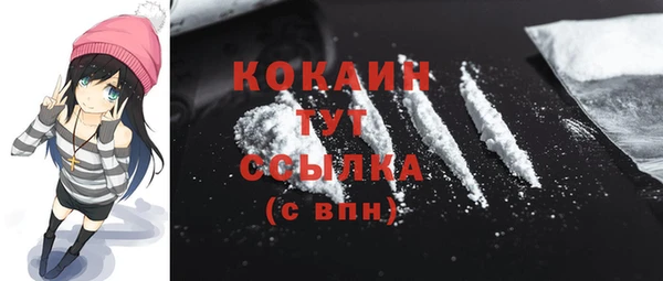 стаф Няндома