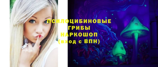 стаф Няндома