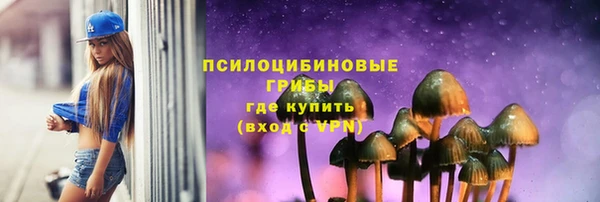 стаф Няндома