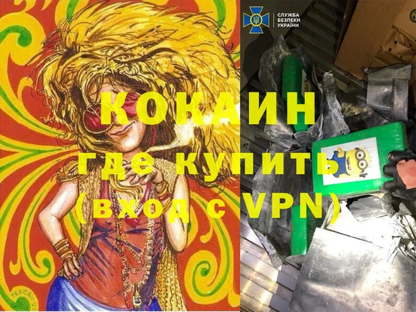 стаф Няндома