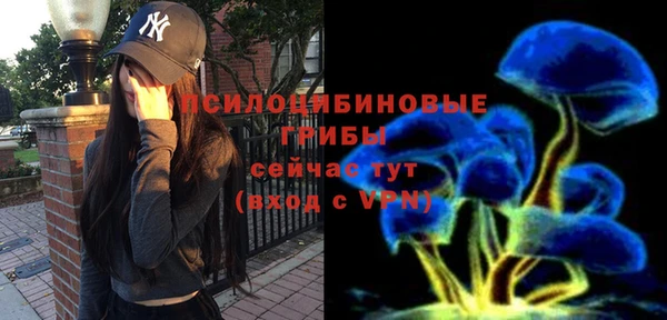стаф Няндома