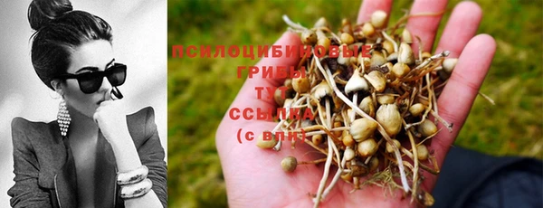 стаф Няндома