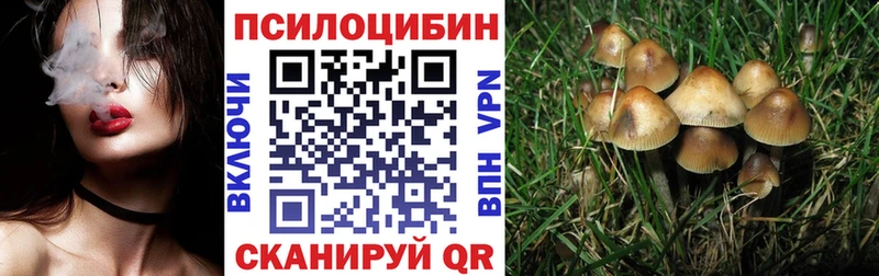 Галлюциногенные грибы Cubensis  купить  сайты  OMG ссылки  Тайга 